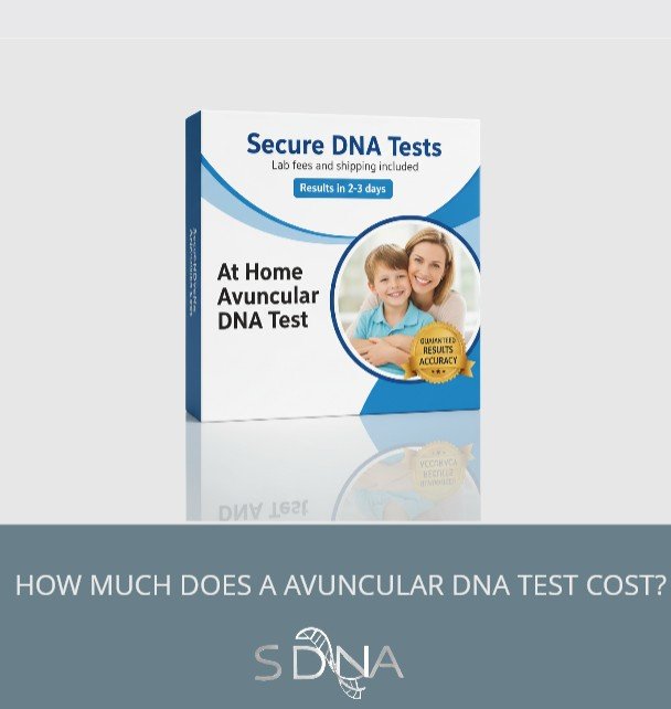 uncle dna testing price